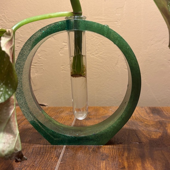 Plant Propogator Circular Plant Holder w/Tube | OS - Picture 2 of 6